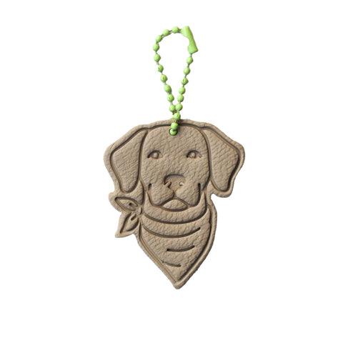 Charm City perro Latte