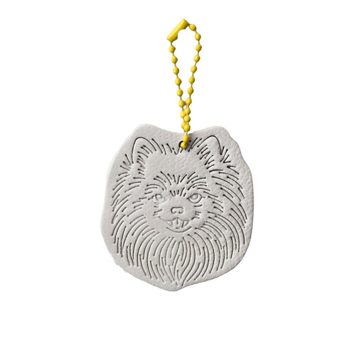 Charm Pomeranian Latte